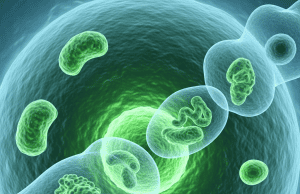 Autofagia: twój przewodnik po samozjadaniu komórkowym